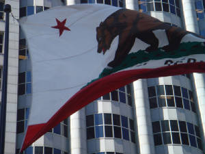 CalFlag1.jpg