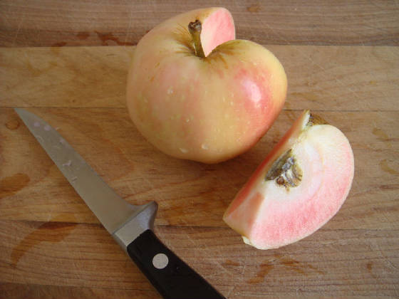 PinkPearlApple.jpg