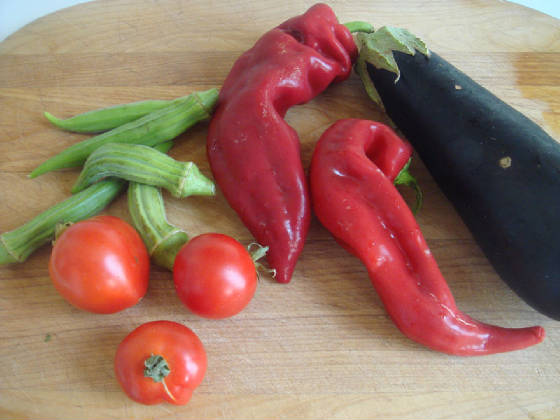 Sept09Veggies.jpg