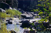 Yuba1_02.jpg