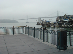 BayBridge.jpg