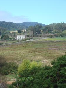 Bolinas1.jpg