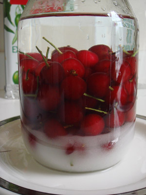 Cherriesinvodka.jpg