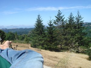 Hammock.jpg