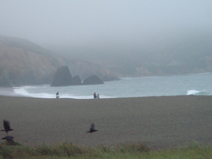 Headlands.jpg