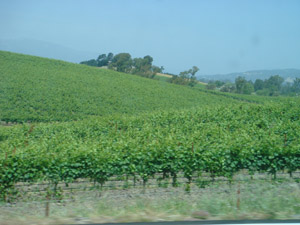 Hwy121-2.jpg