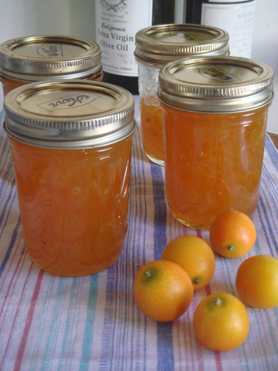 Kumquatmarmalade.jpg