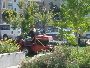Mower.jpg