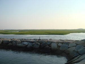 PTownMoors.jpg