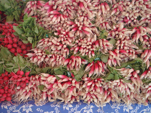 Radishes.jpg