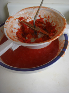 Tomato3.jpg