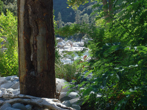 Yuba1.jpg