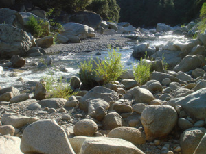 Yuba_3.jpg