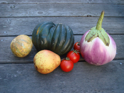 fallfruits.jpg